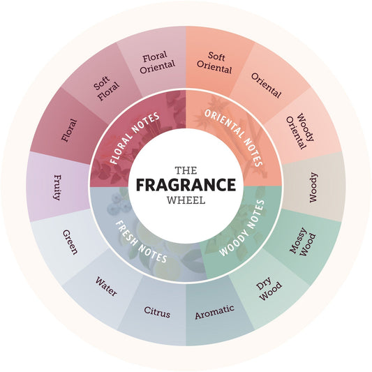 Fragrance 101